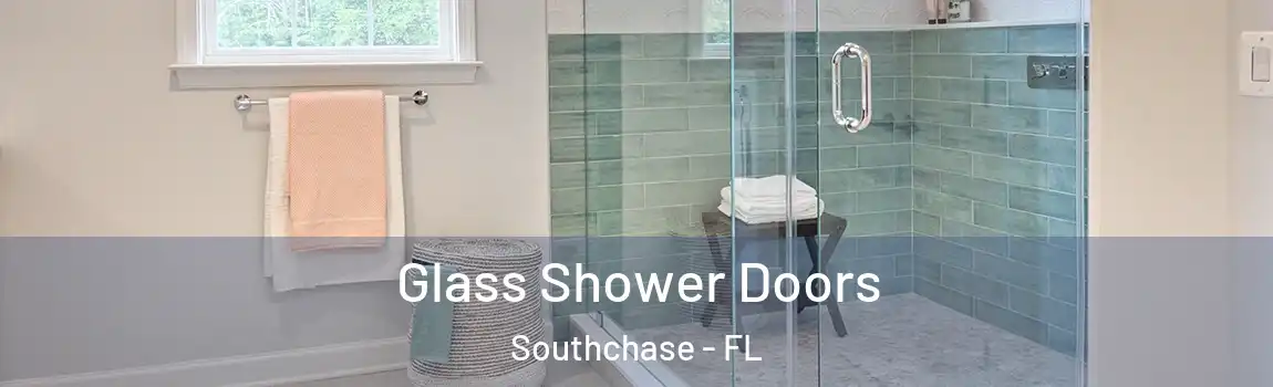  Glass Shower Doors Southchase - FL