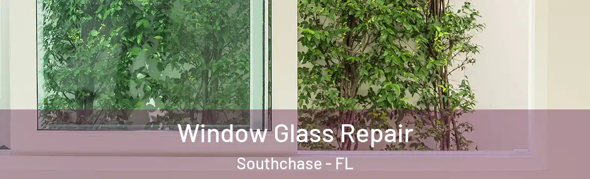  Window Glass Repair Southchase - FL