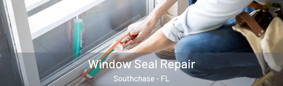  Window Seal Repair Southchase - FL